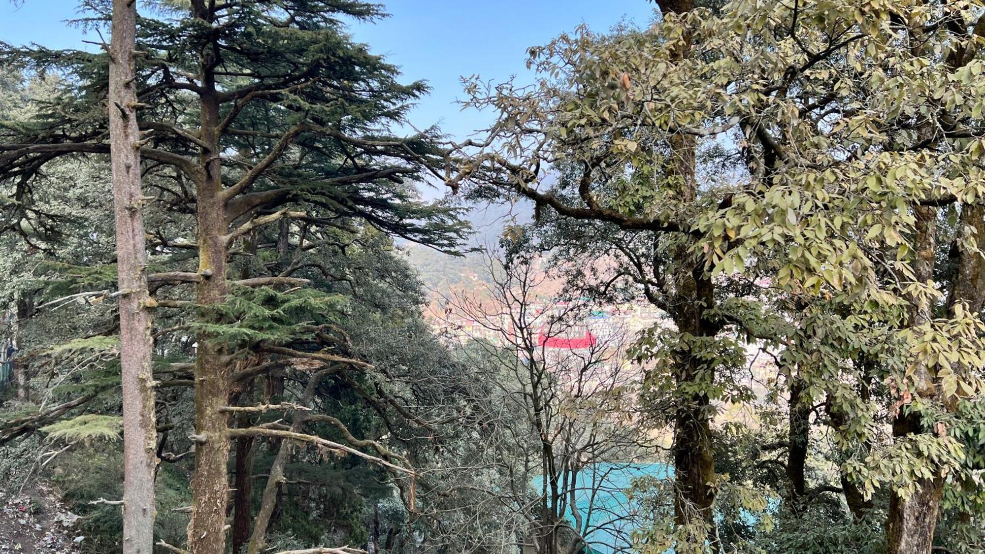 Hotel Pride Inn - 800 Mts From Mall Road Mussoorie Exterior foto